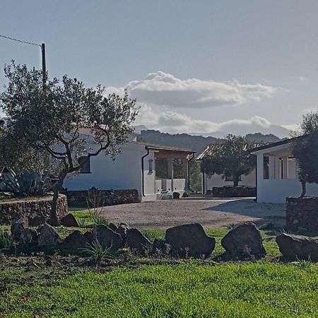 Agriturismo Sa Murta ดอร์กาลี ภายนอก รูปภาพ