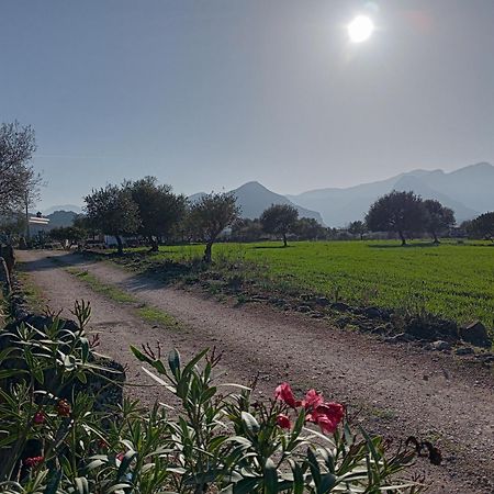 Agriturismo Sa Murta ดอร์กาลี ภายนอก รูปภาพ