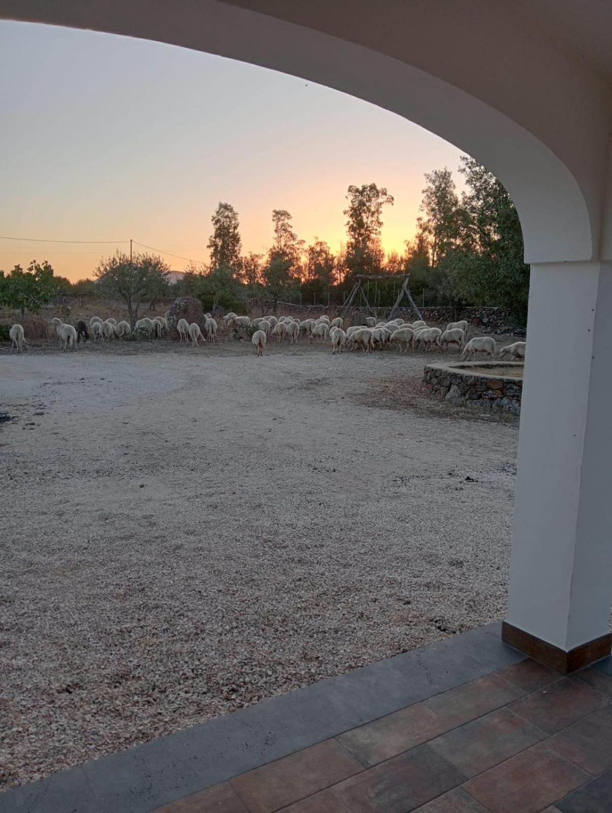 Agriturismo Sa Murta ดอร์กาลี ภายนอก รูปภาพ