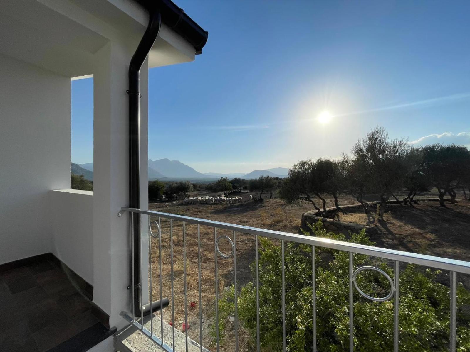 Agriturismo Sa Murta ดอร์กาลี ภายนอก รูปภาพ