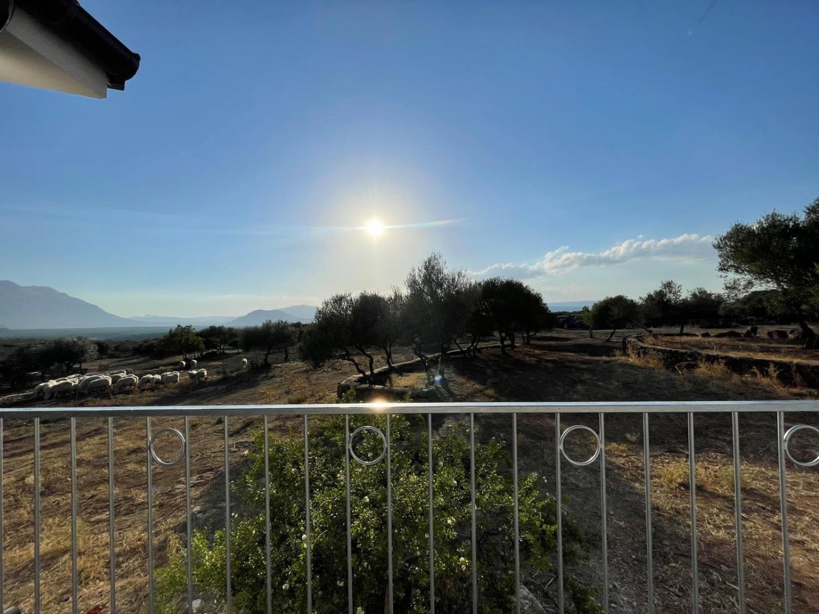 Agriturismo Sa Murta ดอร์กาลี ภายนอก รูปภาพ