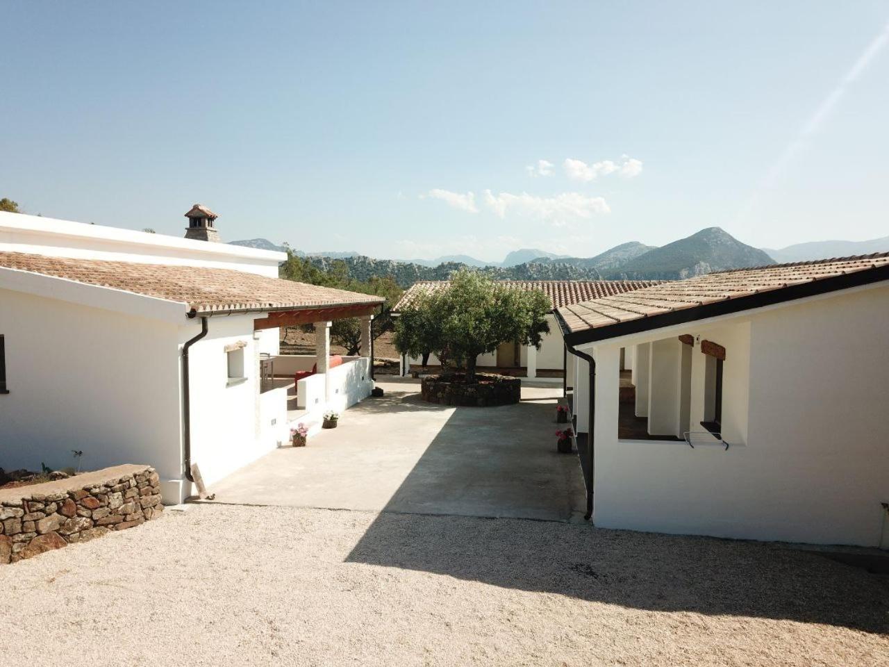 Agriturismo Sa Murta ดอร์กาลี ภายนอก รูปภาพ