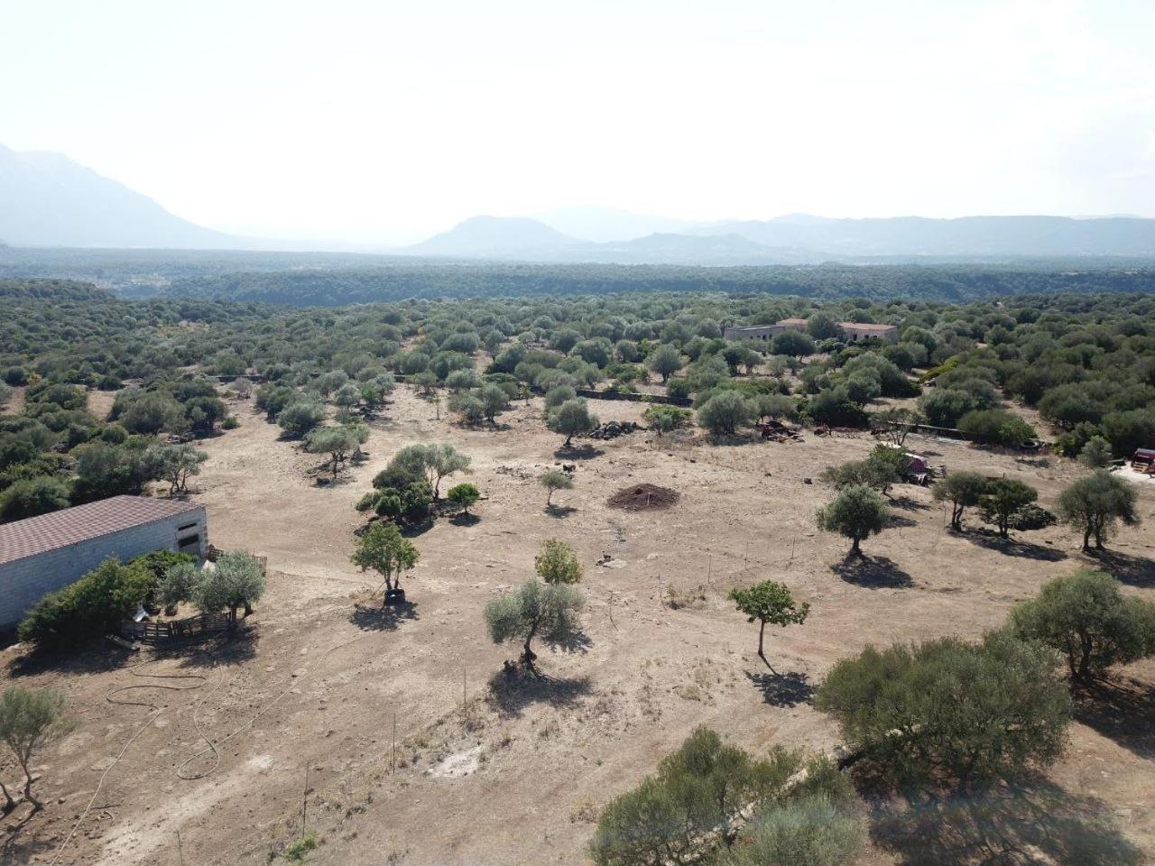 Agriturismo Sa Murta ดอร์กาลี ภายนอก รูปภาพ