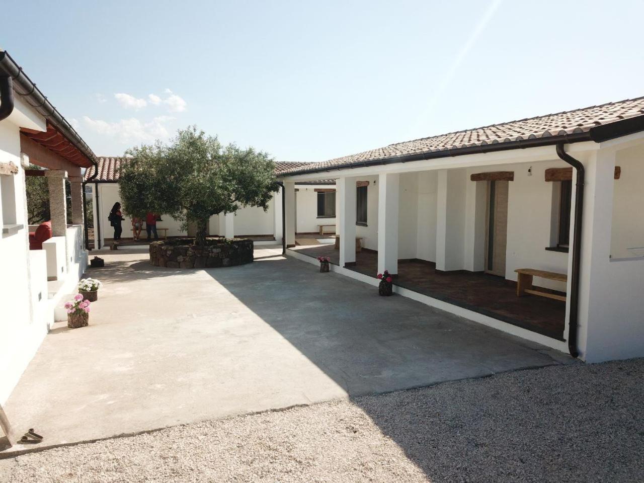Agriturismo Sa Murta ดอร์กาลี ภายนอก รูปภาพ