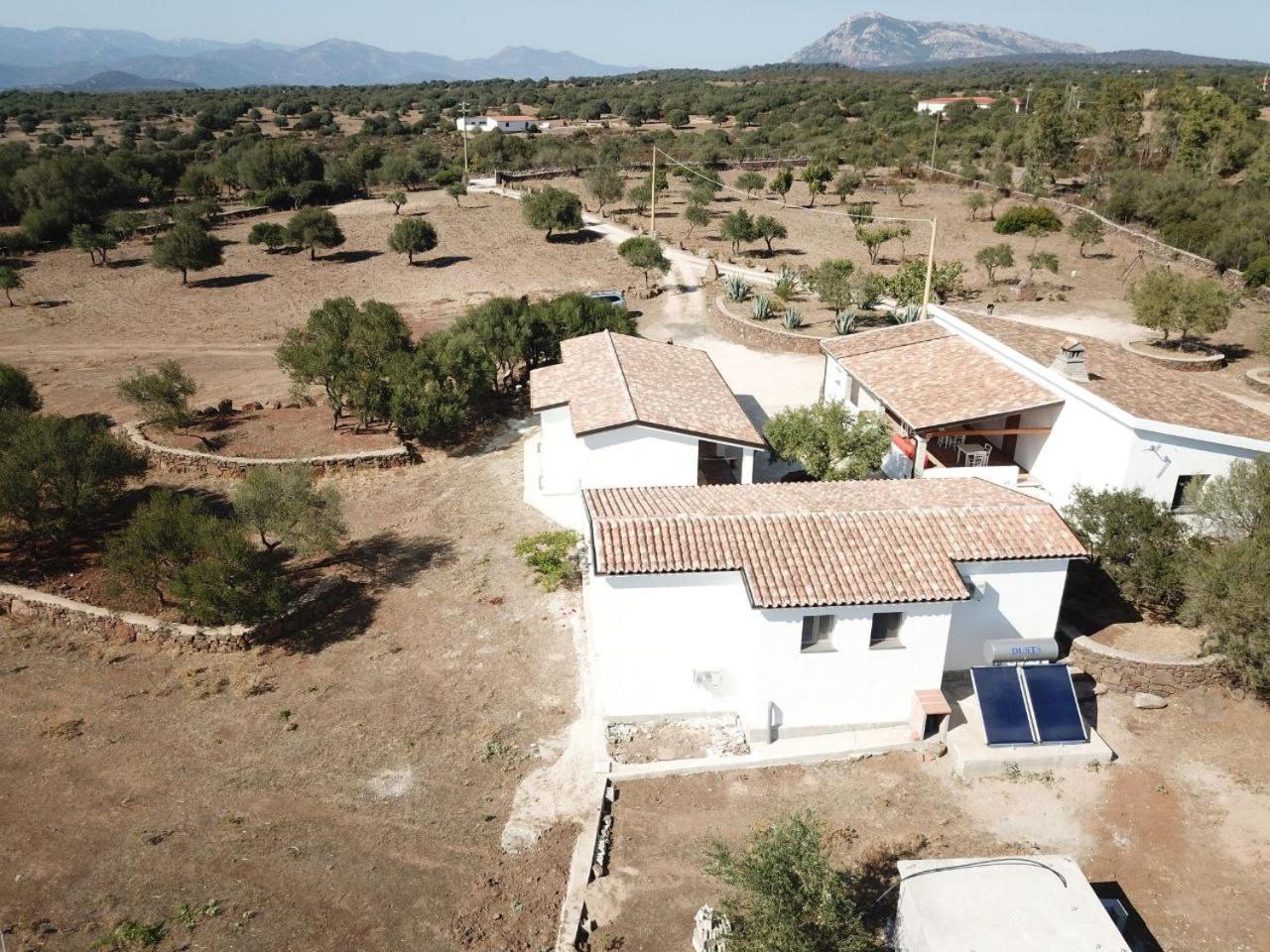 Agriturismo Sa Murta ดอร์กาลี ภายนอก รูปภาพ