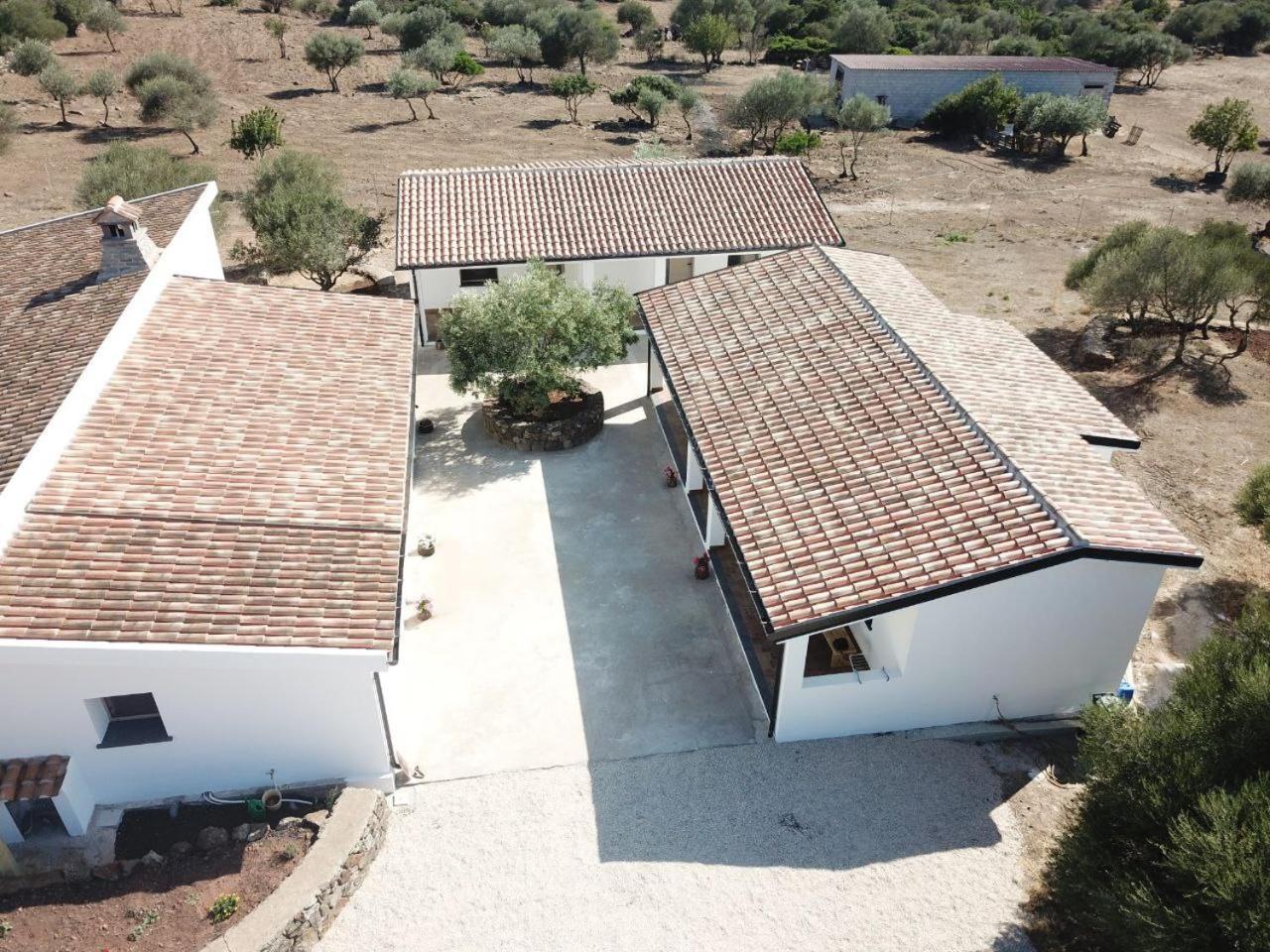 Agriturismo Sa Murta ดอร์กาลี ภายนอก รูปภาพ