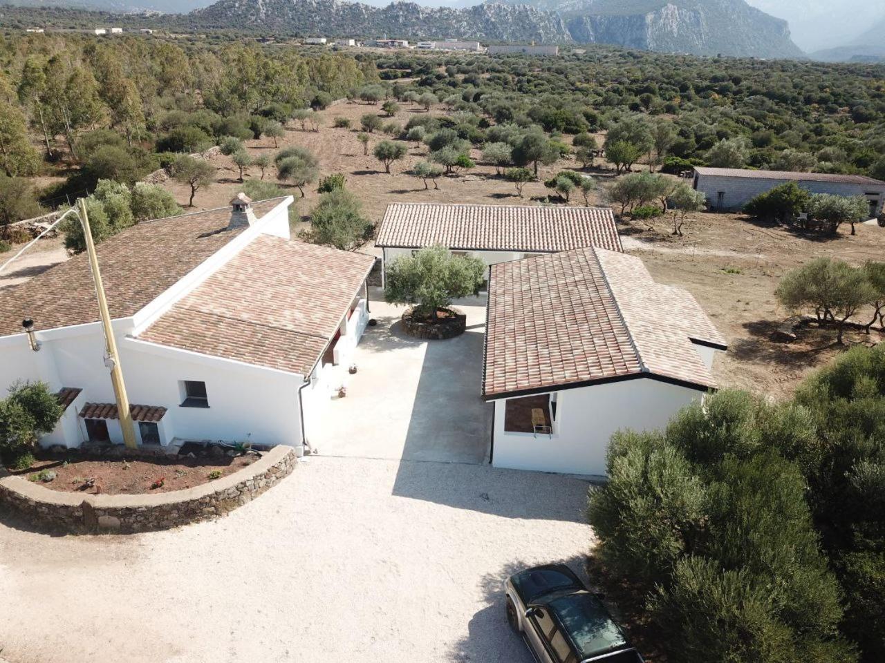 Agriturismo Sa Murta ดอร์กาลี ภายนอก รูปภาพ