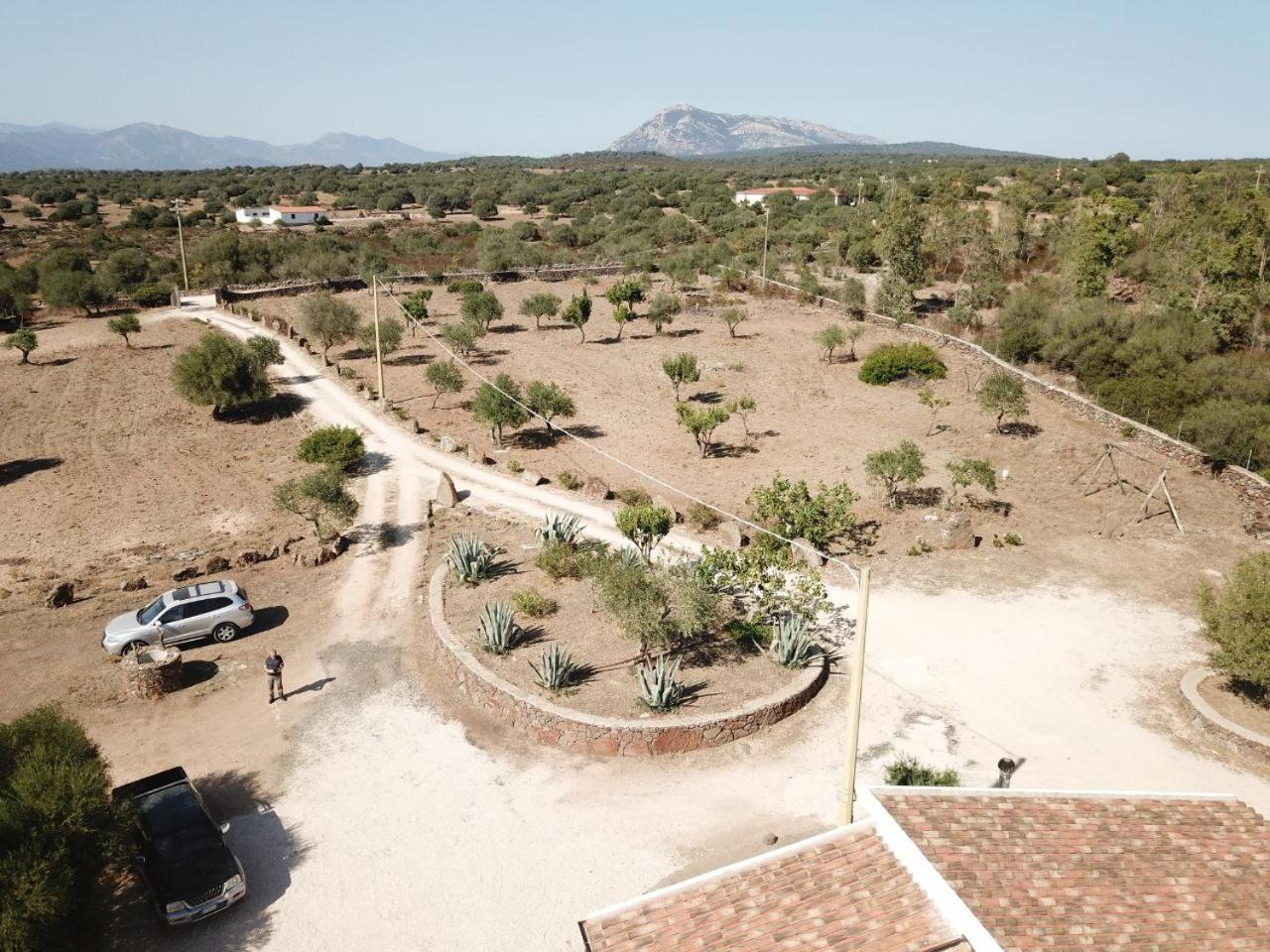Agriturismo Sa Murta ดอร์กาลี ภายนอก รูปภาพ