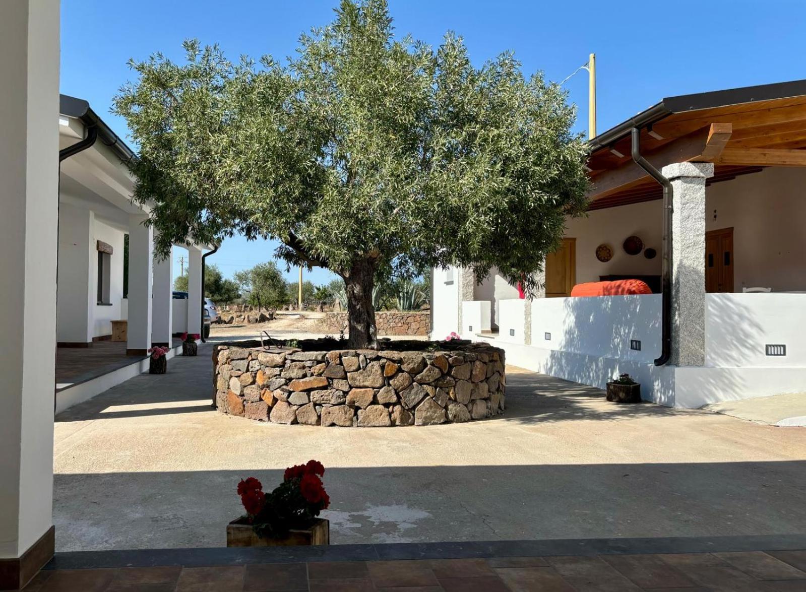Agriturismo Sa Murta ดอร์กาลี ภายนอก รูปภาพ