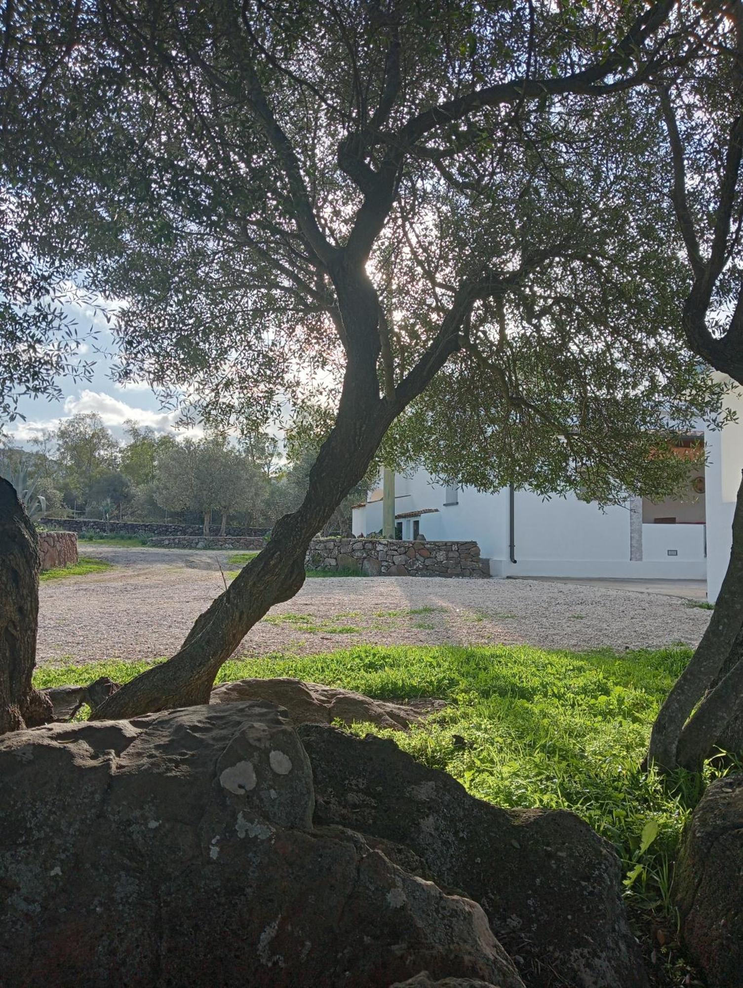 Agriturismo Sa Murta ดอร์กาลี ภายนอก รูปภาพ