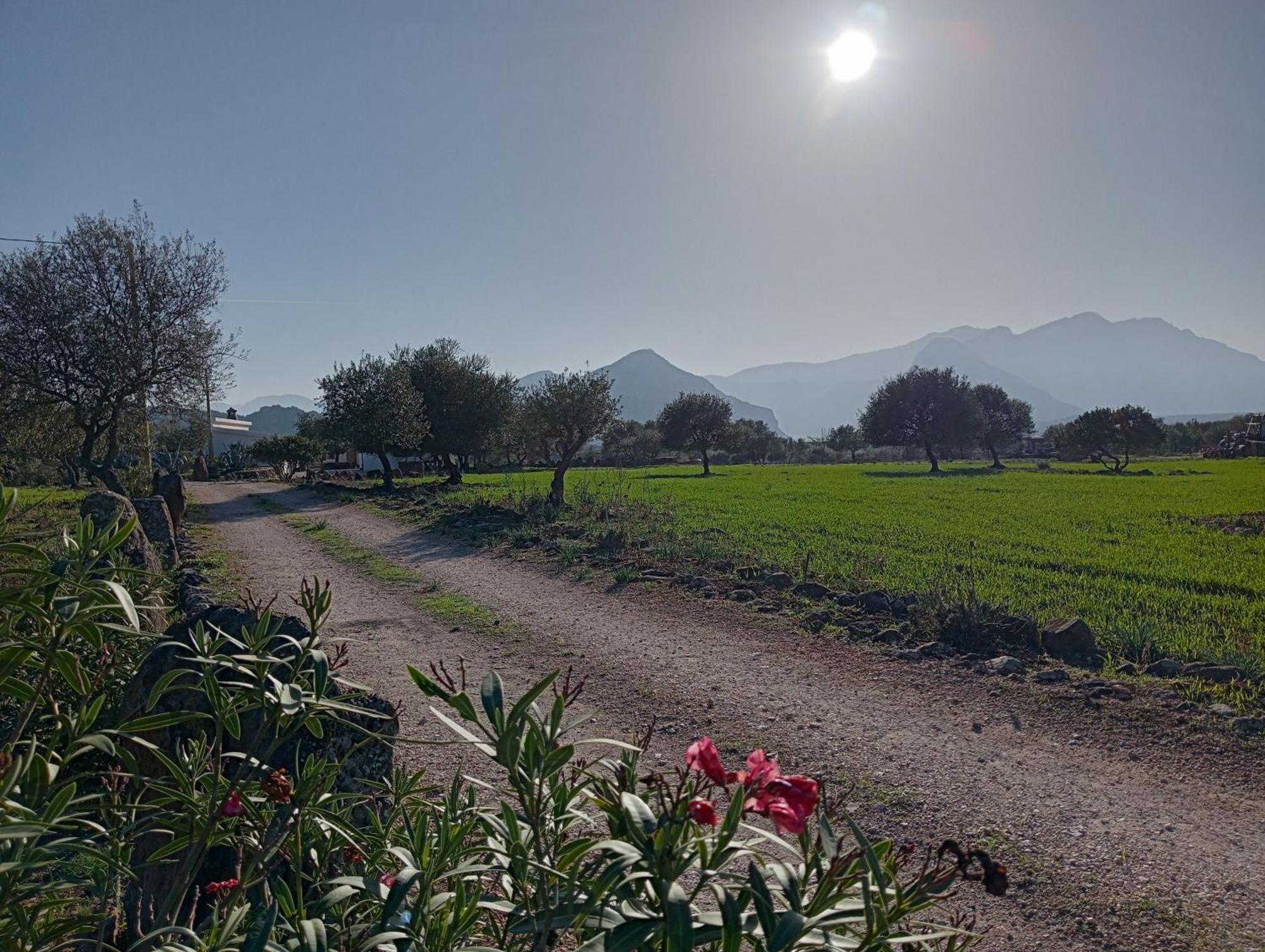 Agriturismo Sa Murta ดอร์กาลี ภายนอก รูปภาพ