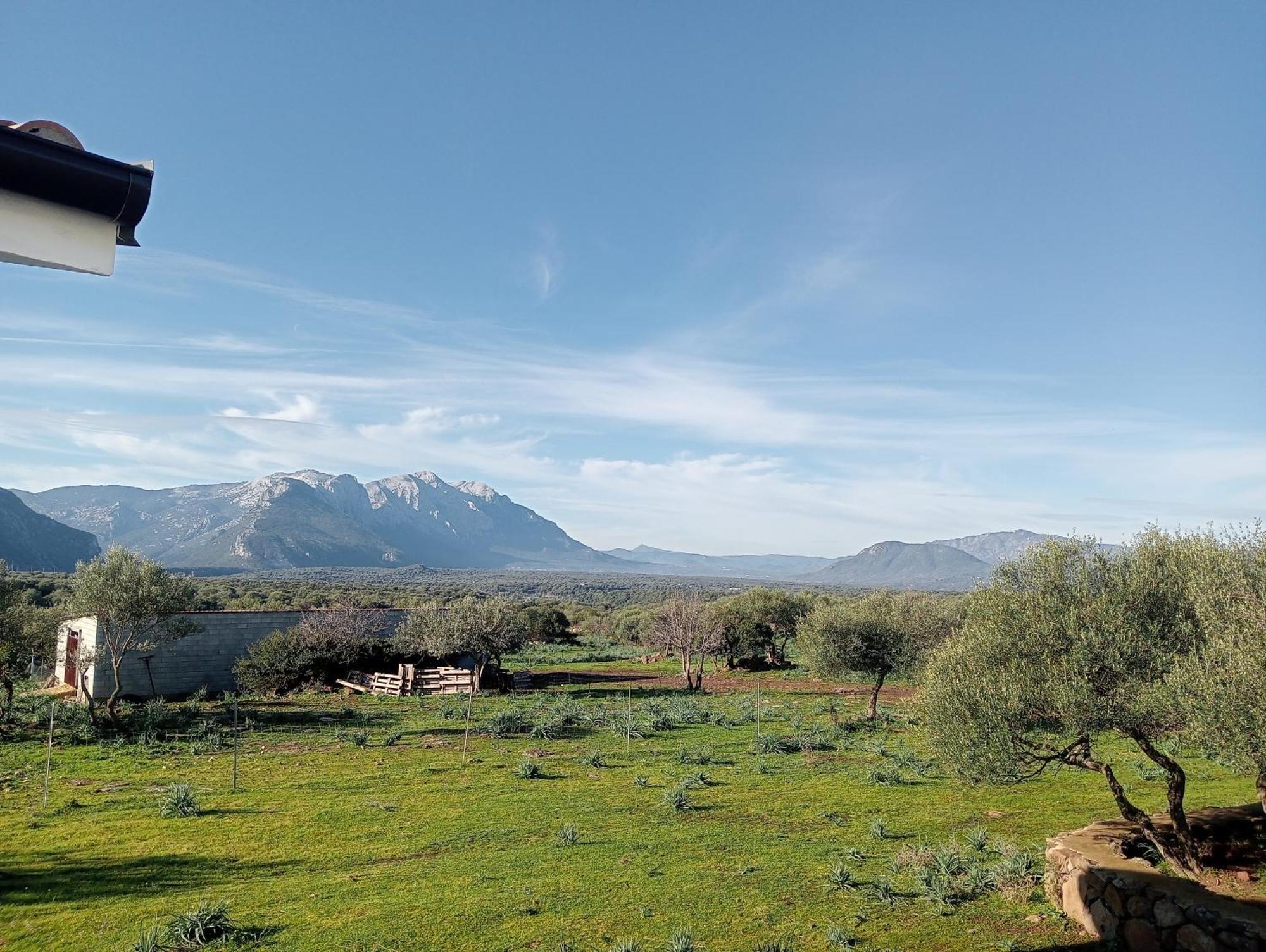 Agriturismo Sa Murta ดอร์กาลี ภายนอก รูปภาพ