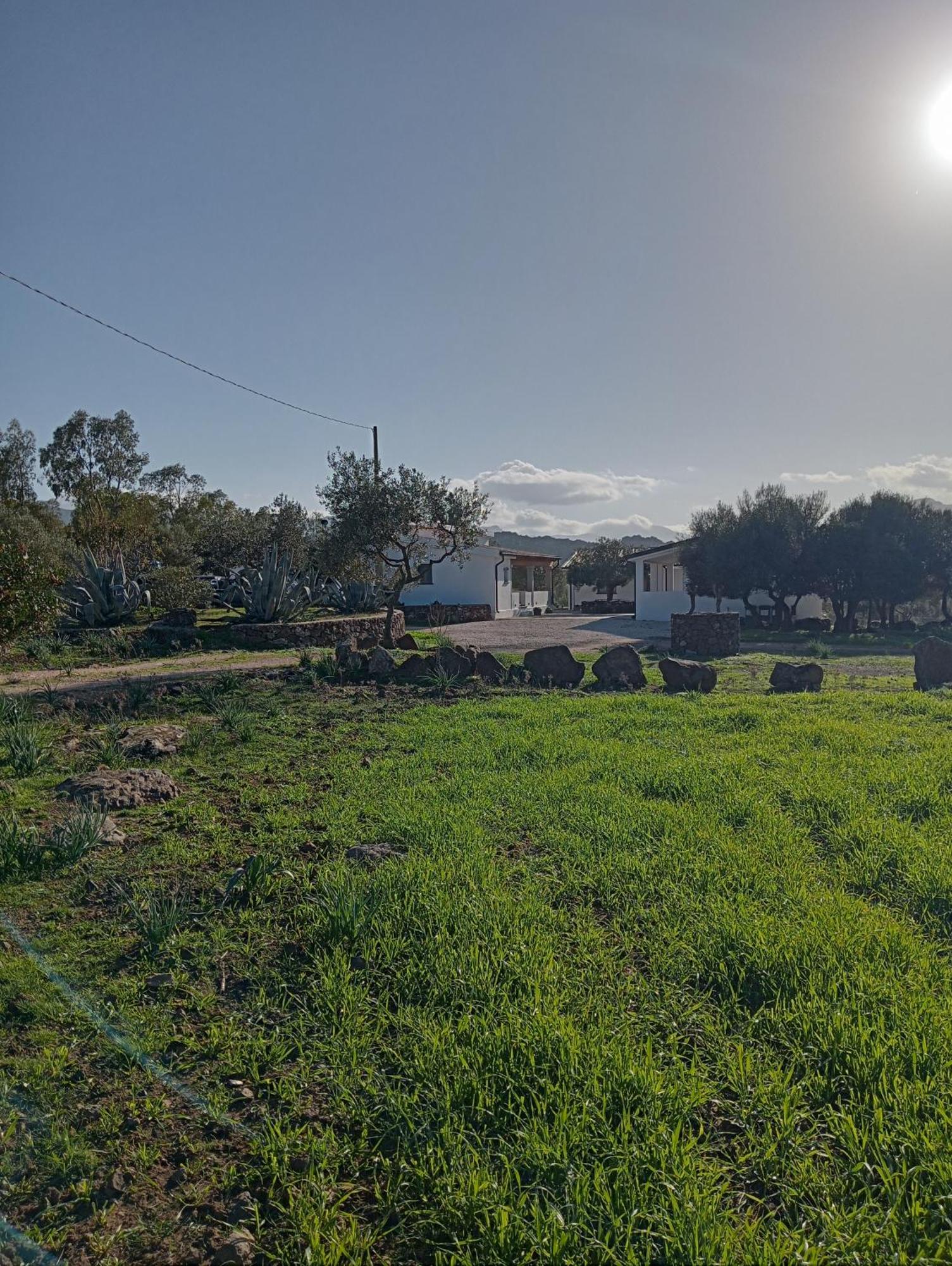 Agriturismo Sa Murta ดอร์กาลี ภายนอก รูปภาพ